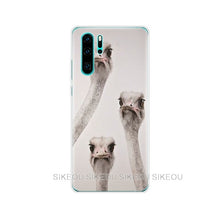 Load image into Gallery viewer, for Huawei P30 Pro Case