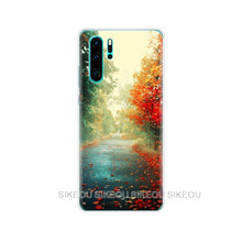 Load image into Gallery viewer, for Huawei P30 Pro Case